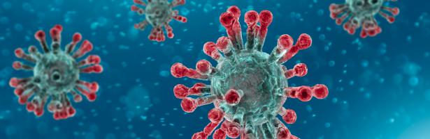 Corona Virus